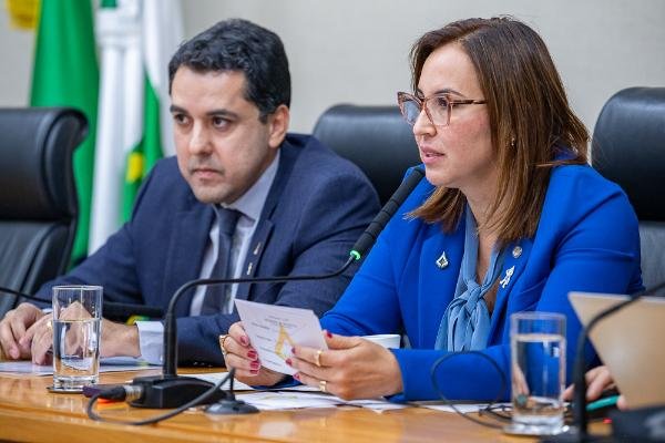 Secretaria de Saúde presta contas sobre primeiro quadrimestre à Comissão de Saúde